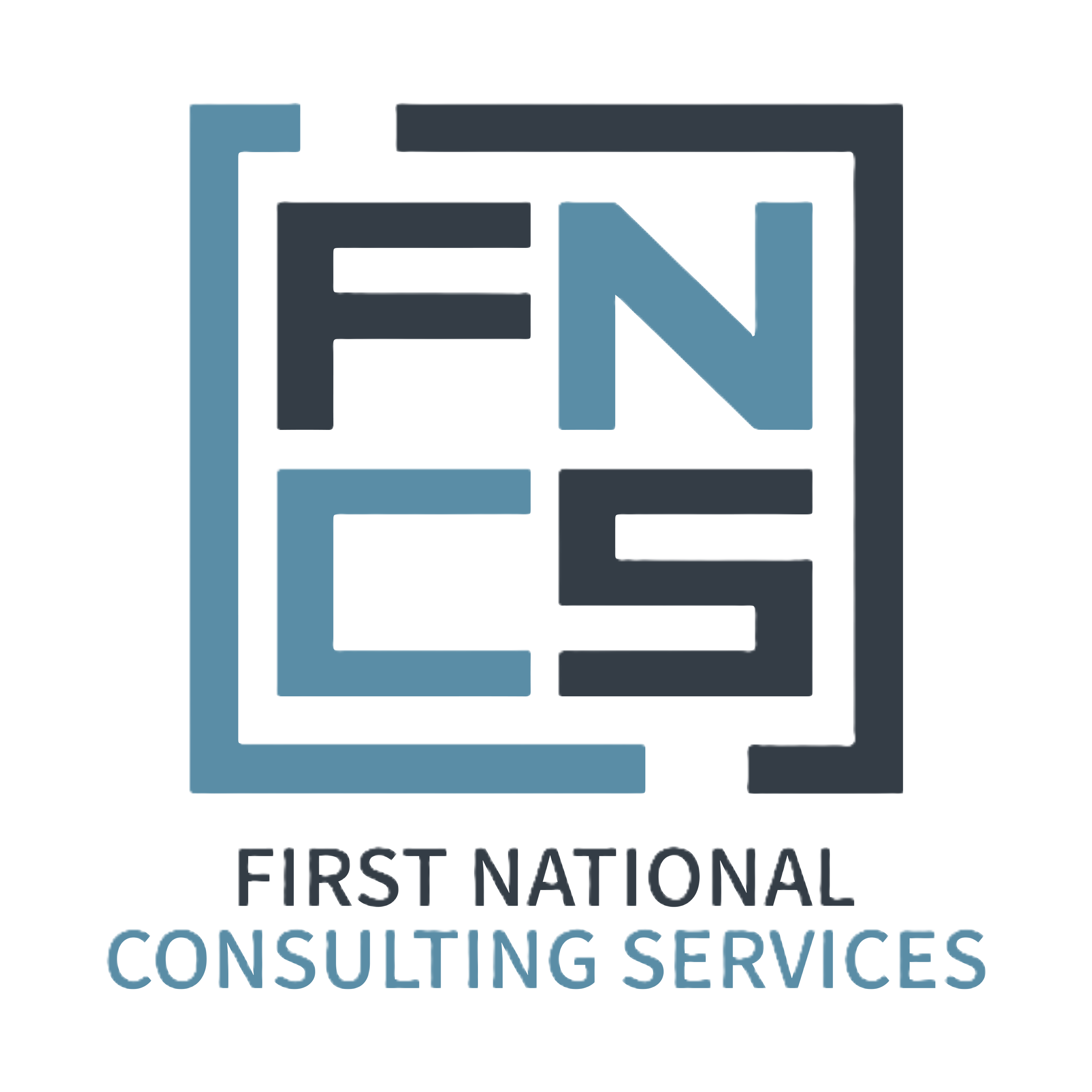 FNCS Consulting
